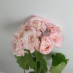 rjbbKTmGUp8